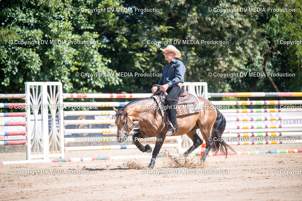 ZS1_0949 | dv-media-shop - Realisiert mit Pictrs.com