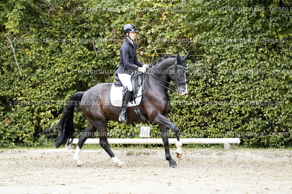 DSC06087 | Pferdegrafie