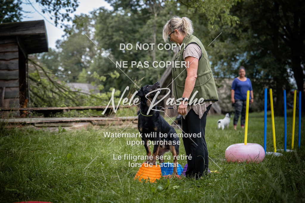 nelerasche_SoEarlyDog_60 | nelerasche
