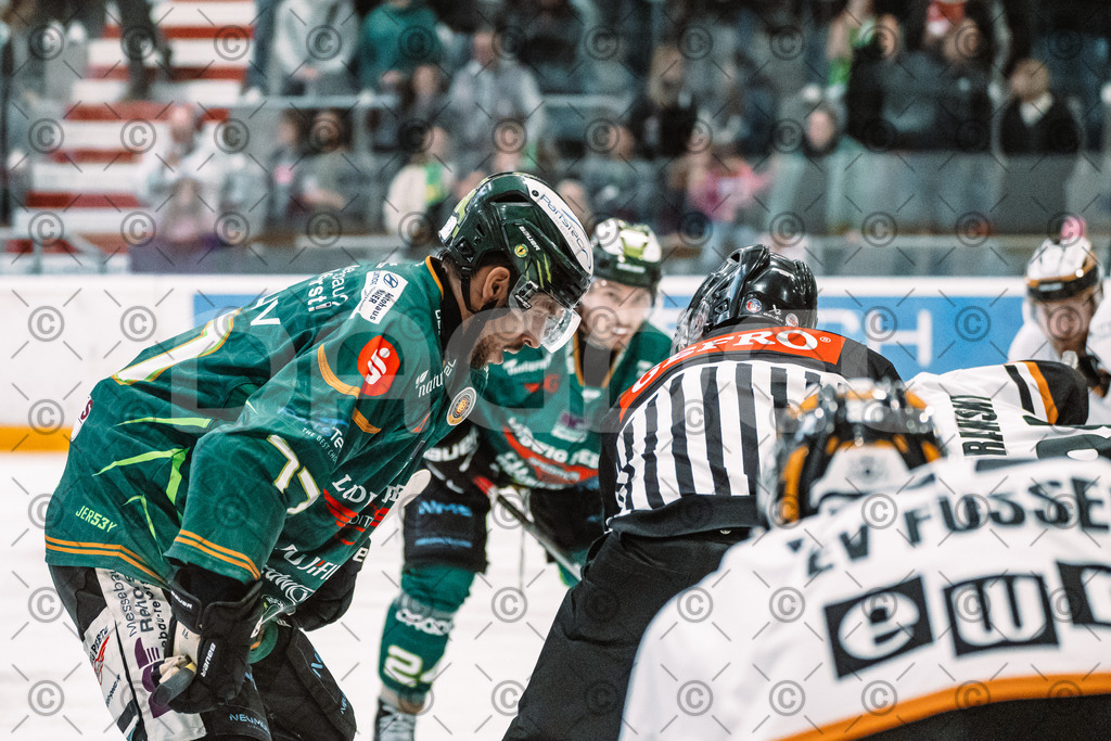 Alligators_vs_Fuessen_27_09_2026-11 | Die Fotogalerie von Daddel: professionelle Bilder von Sport, Events und Unternehmen aus Franken. Jetzt Galerien durchstöbern und Lieblingsfotos bestellen. - Realisiert mit Pictrs.com