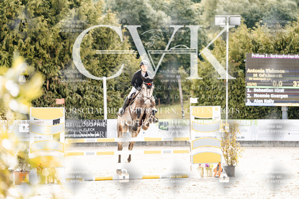 CK909041 | Turnierfotografie Pferdefotografie Trier Rheinland-Pfalz Pferdesport Reitsport Tierfotografie Sportfotografie Pferdevideo Pferdevideografie Equestrianvideography equestrianphotography  - Realisiert mit Pictrs.com