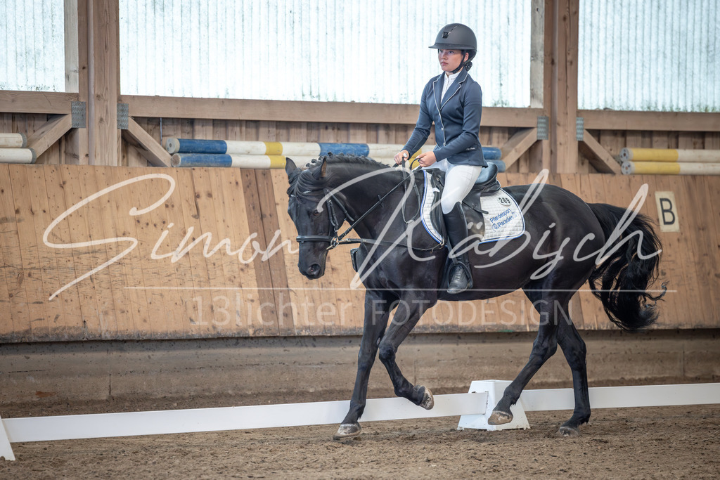 20251011-_3LI8029 | Tierfotografie Pferde, Hunde, Katzen, Haustiere.
Turnierfotografie Reitturniere, Reiten, Springreiten, Dressur in Hanau, dem Main-Kinzig-Kreis und dem Rhein-Main- Gebiet um Frankfurt