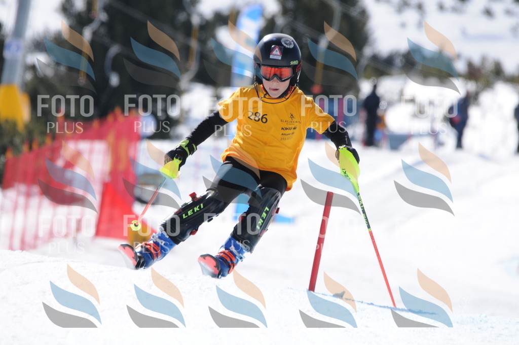 C9040 | holidayphoto