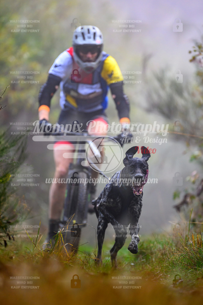 MompixPhotography_20TSB_E4_Bike-62 | PayLife