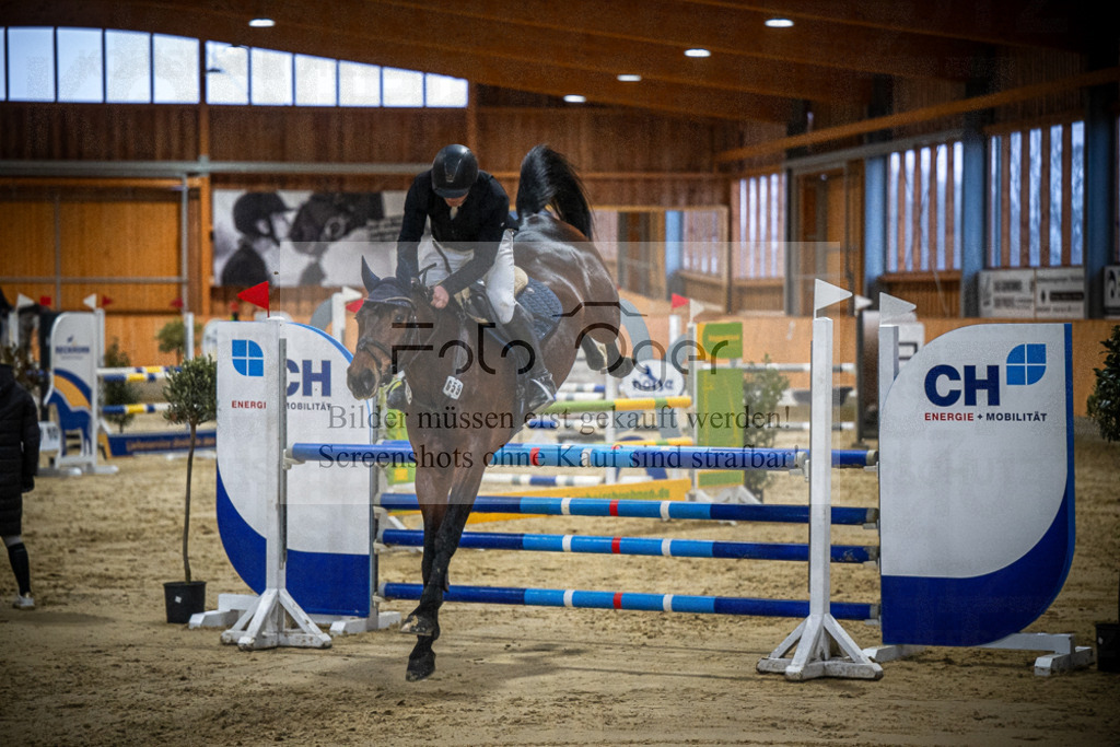 DOS_0375 | Entdecke hochwertige Reitturnierfotos von Foto Oger. Professionell, emotional und authentisch – jetzt Lieblingsmomente im Shop bestellen.Deutschlandweite Turnierfotografie. - Realisiert mit Pictrs.com