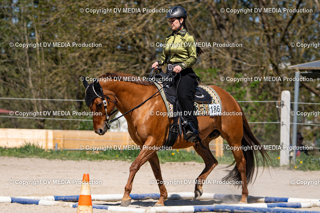 Balingen Tag 1-1024 | dv-media-shop - Realisiert mit Pictrs.com