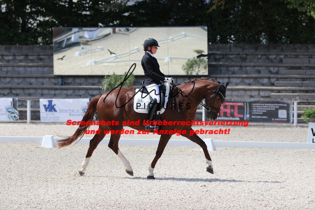 IMG_4374 | lmwpictures - Realisiert mit Pictrs.com