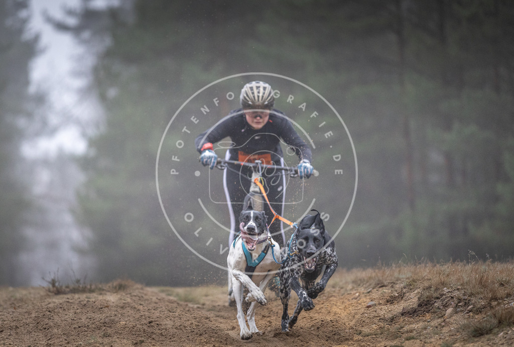 Pfotenfotografie_DV3A0788 | Hundefotografie, Tierfotograf, Pfotenfotografie, Fotoshooting Hund, Hunde Portrait, Hundesport, Hundeportraits, Heideshooting, Hunde, Sportfotograf, Hundefotograf, Turnierhundsport, THS,  - Realisiert mit Pictrs.com