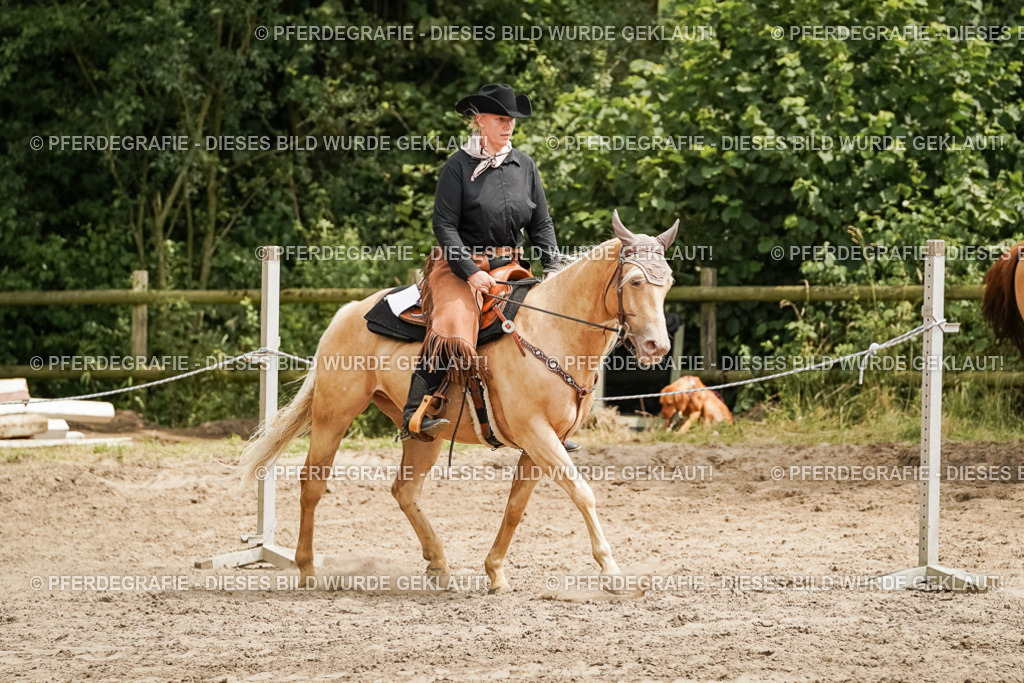 DSC00527 | Pferdegrafie