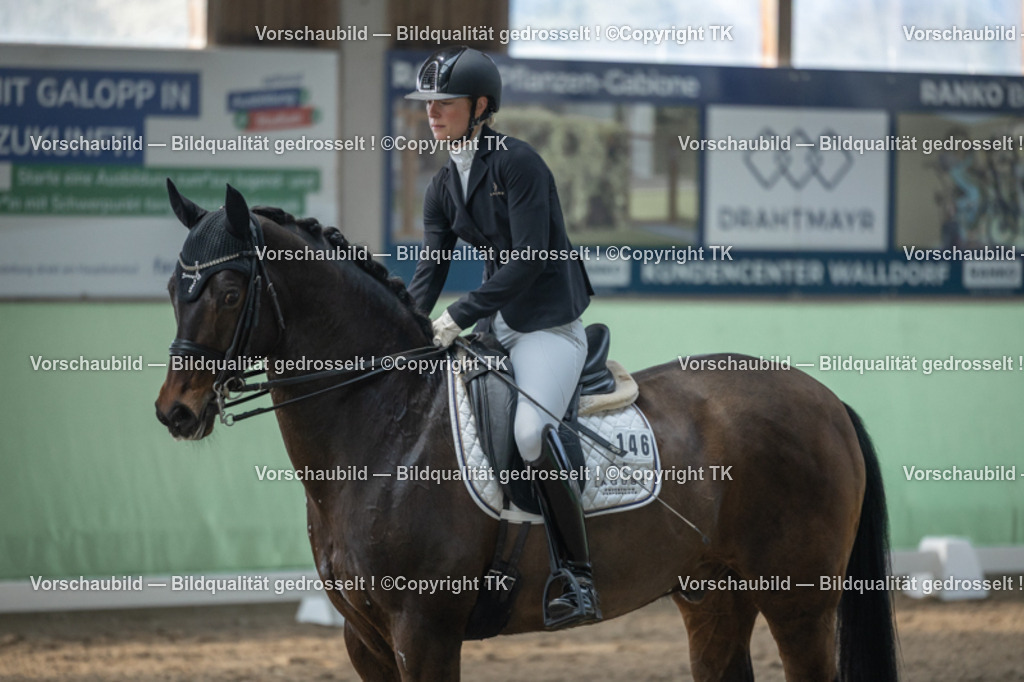 _D5A4502 | Emotionale Pferde- & People-Fotografie rund um Heidelberg, Leimen & Umgebung. Natürliche Fotos von Pferd, Mensch & Familie. Jetzt Termin sichern!