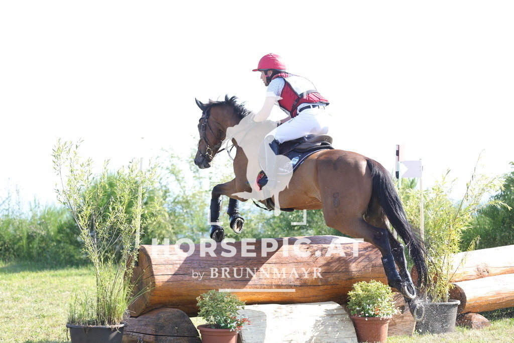 0P6A6421 | Willkommen bei Brunnmayr - Design & Fotografie – Ihrem Spezialisten für Reitturniere und Pferdeveranstaltungen in Oberösterreich, Salzburg und Bayern! Seit über 17 Jahren sind wir leidenschaftlich dabei.