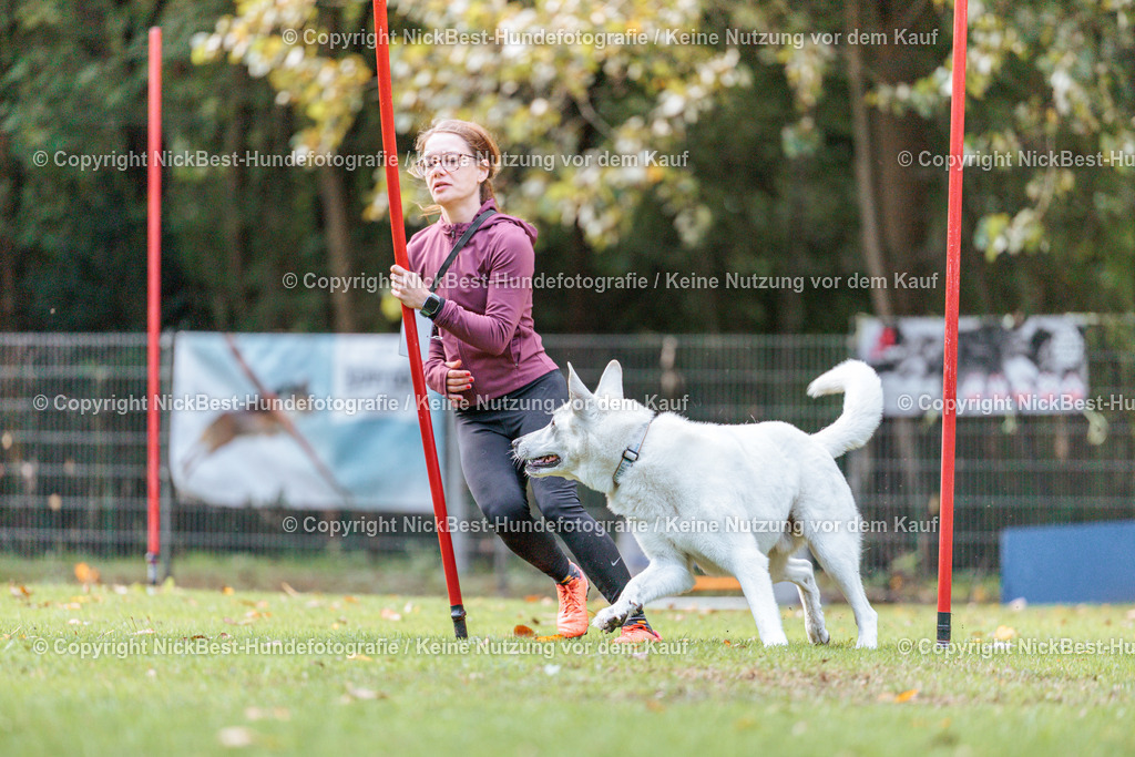 THS-HSV-Blumenthal-2026-Nickbest-Hundefotografie-2154 | Dein Hund! Dein Moment! Deine Erinnerungen! Hundefotografie in Bremen Blumenthal. Ich fange die besonderen Momente deines Vierbeiners ein – ob Indoor mit Blitzanlage oder in der freien Natur. Sicher dir dein Moment und dein Termin für eure Erinnerungen.