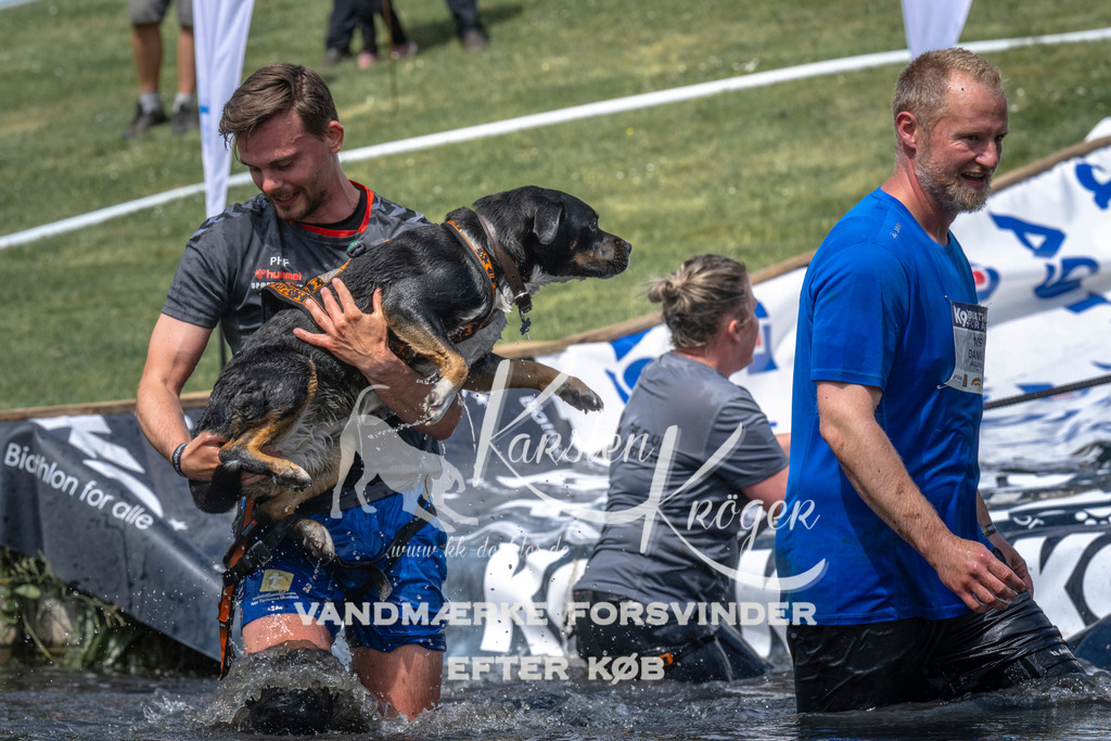 1103_ZZ90624 | kk-dogfotos
