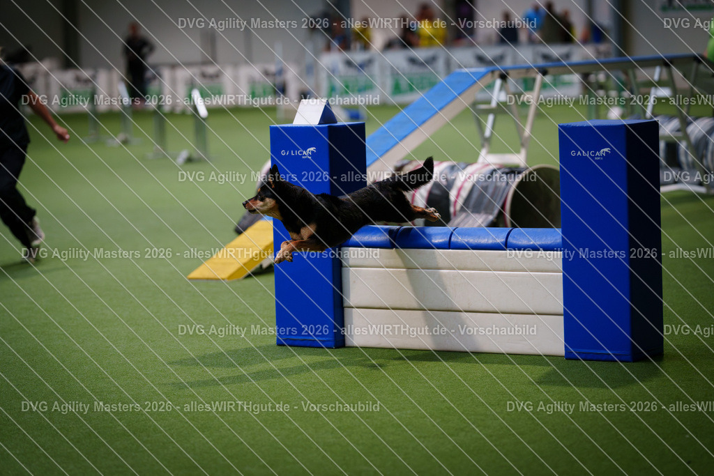 allesWIRTHgut_Tierfotografie-DVG_Agility_Masters_2026-14_59-7R501759 | Professionelle Tierfotografie in Mönchengladbach von Daniel Wirth (allesWIRTHgut). Liebevolle & natürliche Bilder von Hunden & Katzen für unvergessliche Erinnerungen.