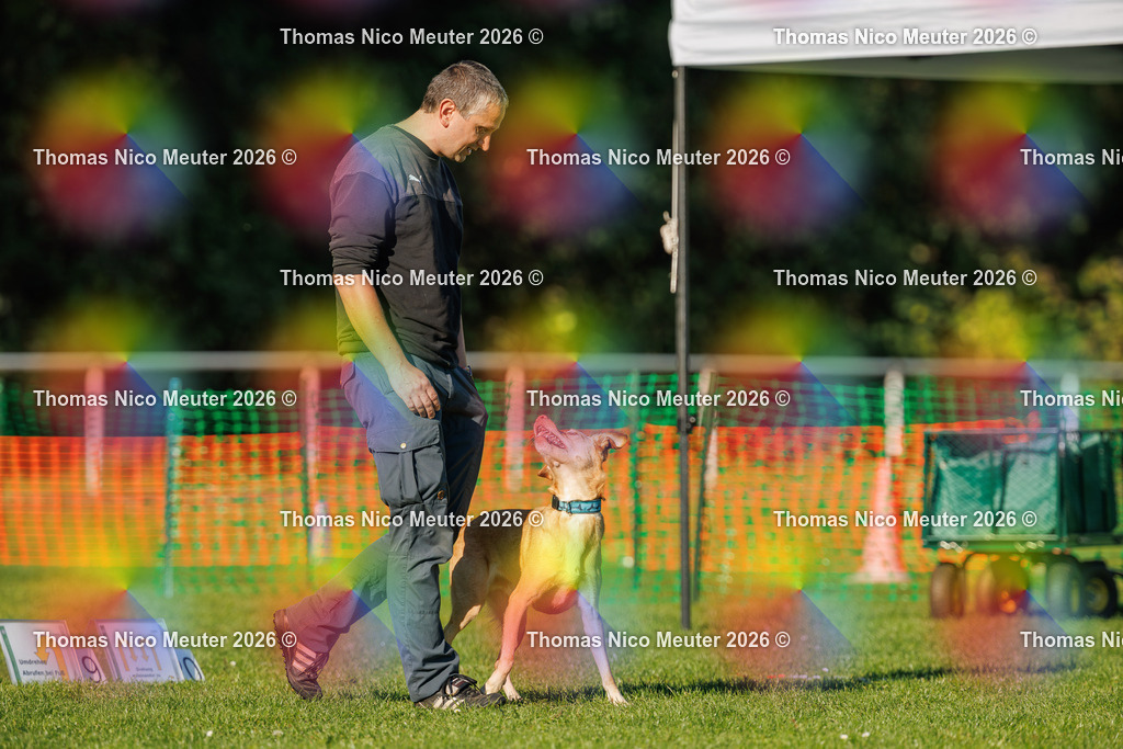 Thomas_Nico_Meuter(C)_04. Oktober 2026_223A4104 | Bild von Thomas Nico Meuter - Realisiert mit Pictrs.com