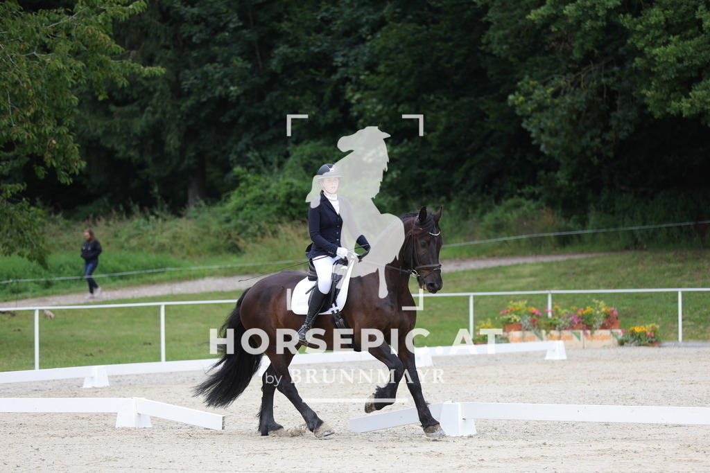 0P6A4194 | Willkommen bei Brunnmayr - Design & Fotografie – Ihrem Spezialisten für Reitturniere und Pferdeveranstaltungen in Oberösterreich, Salzburg und Bayern! Seit über 17 Jahren sind wir leidenschaftlich dabei.