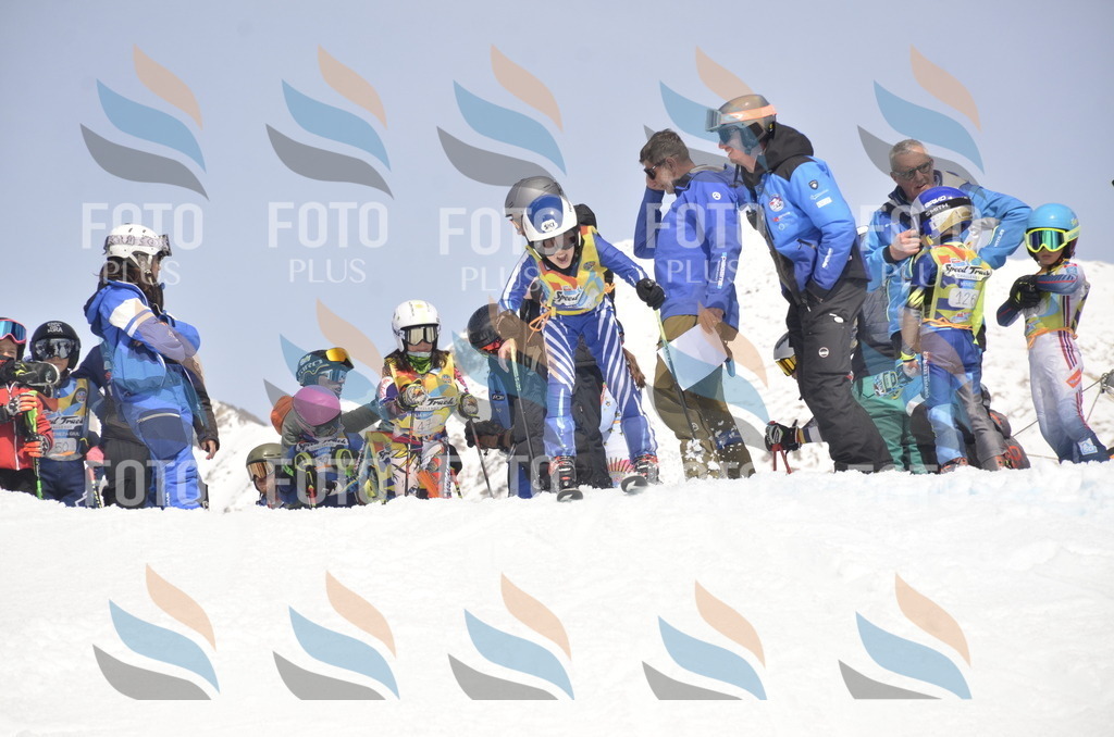 _ELE8767 | holidayphoto