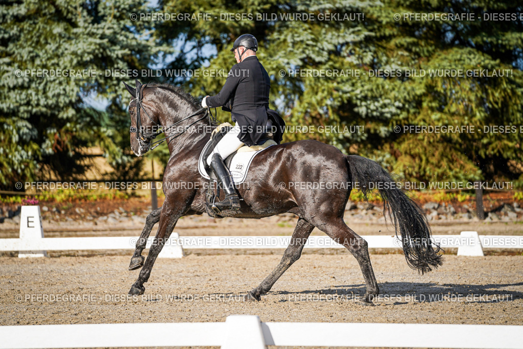 DSC00800 | Pferdegrafie