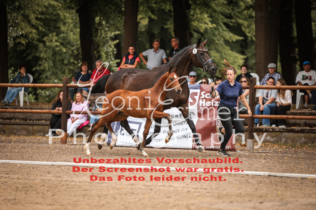 SaFohlen00002 | Leoni Ertmer Photography - Realisiert mit Pictrs.com