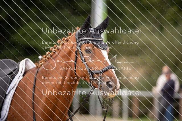 SD_OED_07599 | saradresslerfotografie - Realisiert mit Pictrs.com
