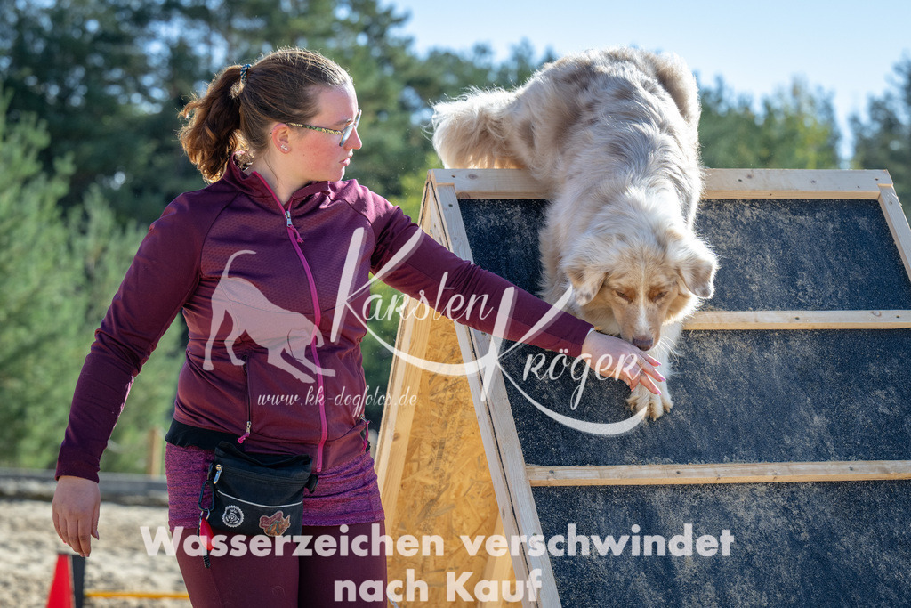 1218_ZZ92788-2 | kk-dogfotos