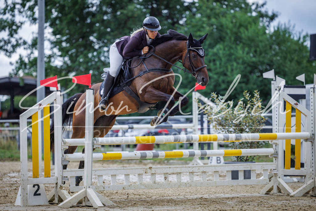 20260705-_3LI5878 | Tierfotografie Pferde, Hunde, Katzen, Haustiere.
Turnierfotografie Reitturniere, Reiten, Springreiten, Dressur in Hanau, dem Main-Kinzig-Kreis und dem Rhein-Main- Gebiet um Frankfurt