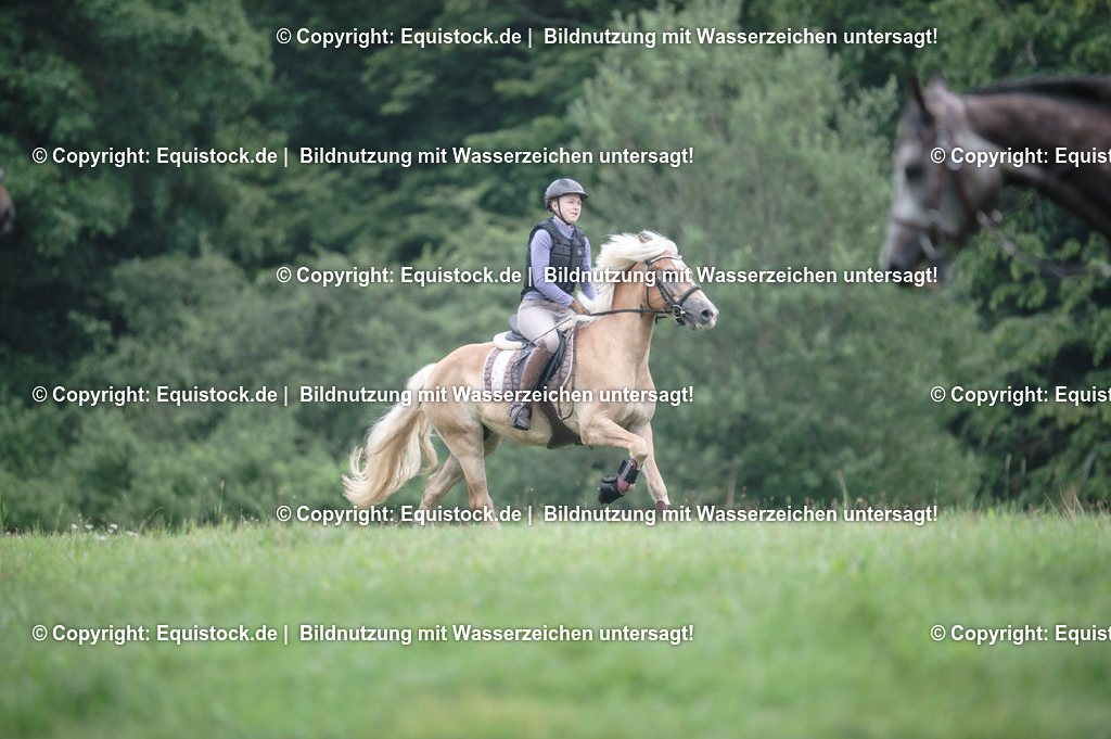 20250726_Vielseitigkeitslehrgang-Marbach_0266 | Foto: Thomas Hartig
