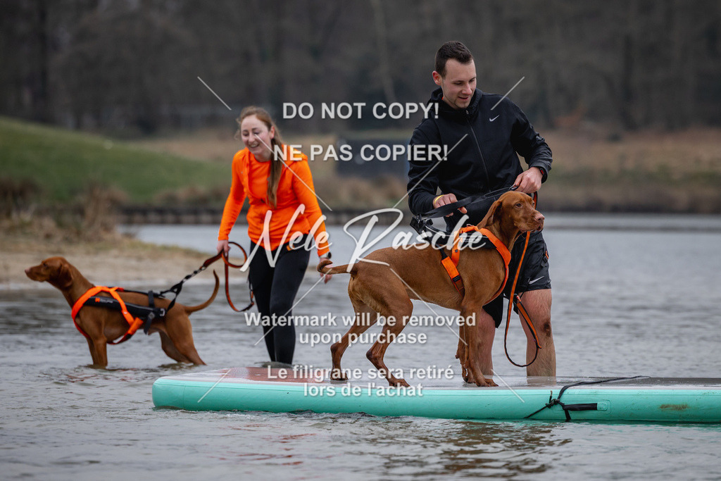 nelerasche_Hulsbeek_Sa1600-1700_15 | nelerasche