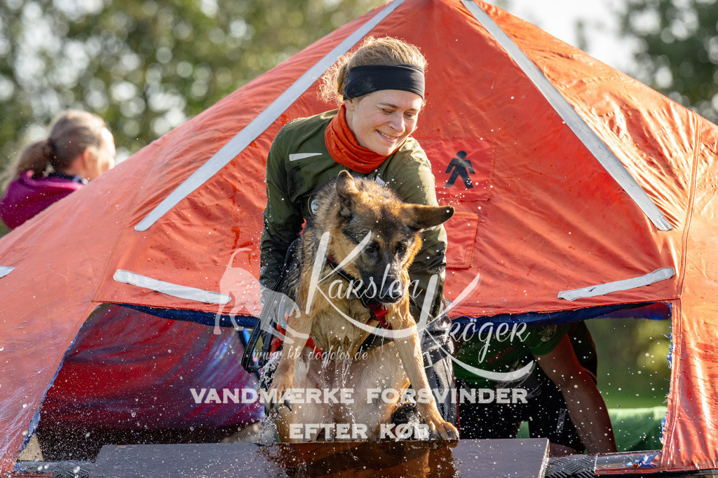 1115-91940 | kk-dogfotos