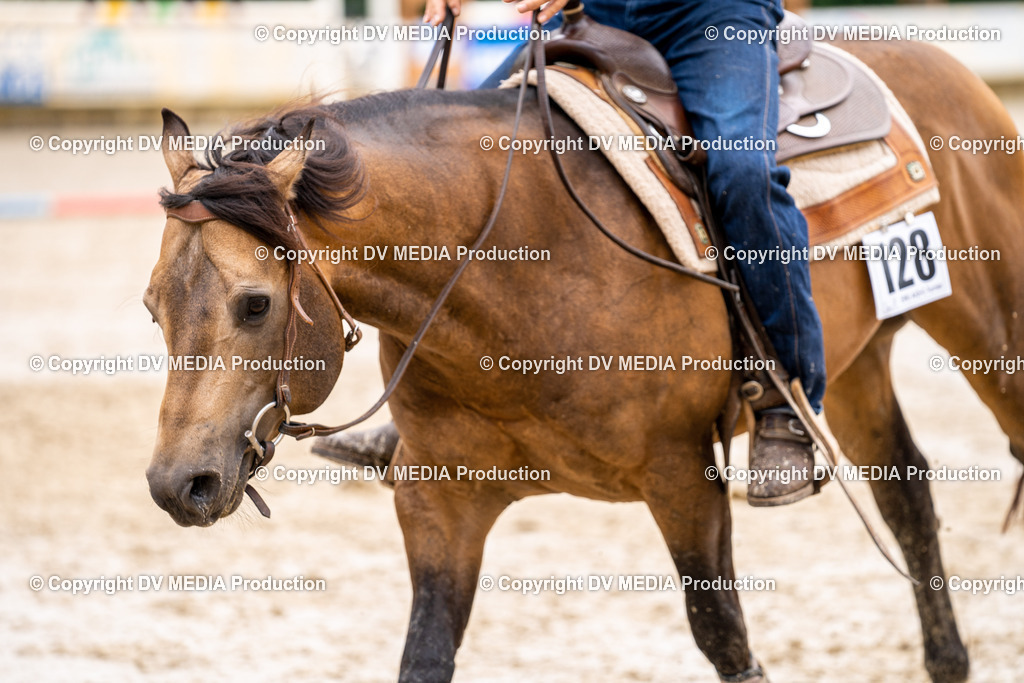 Zeiskam Tag 1-302 | dv-media-shop - Realisiert mit Pictrs.com