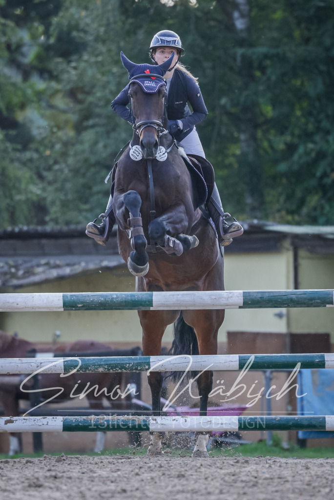 20251012-_3LI5706 | Tierfotografie Pferde, Hunde, Katzen, Haustiere.
Turnierfotografie Reitturniere, Reiten, Springreiten, Dressur in Hanau, dem Main-Kinzig-Kreis und dem Rhein-Main- Gebiet um Frankfurt