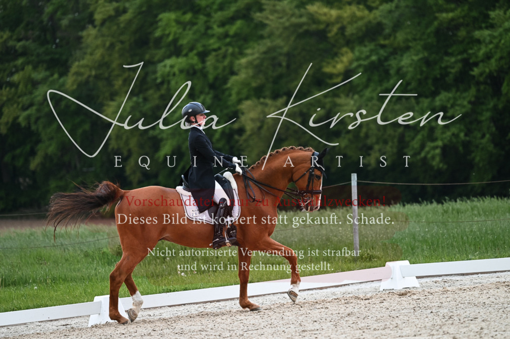 20230513_JK-Röhrsdorf-13-546 | Pferde- und Turnierfotografie in Westsachsen. Pferdeportraits, Auftragszeichnungen und intuitive Kunst.