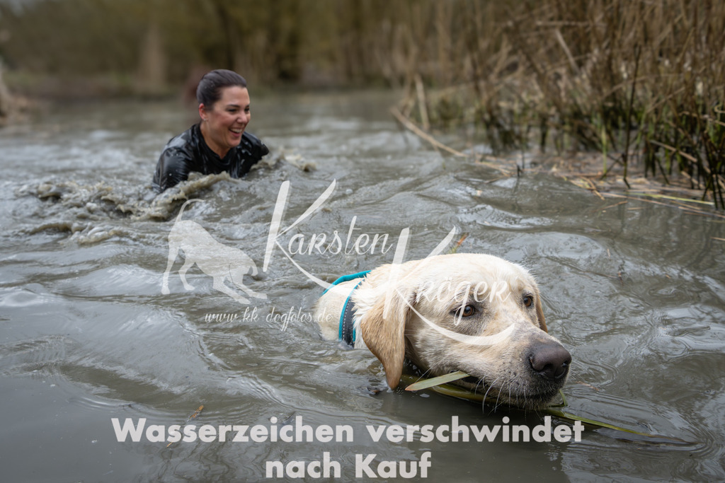 1052_ZZ93076 | kk-dogfotos