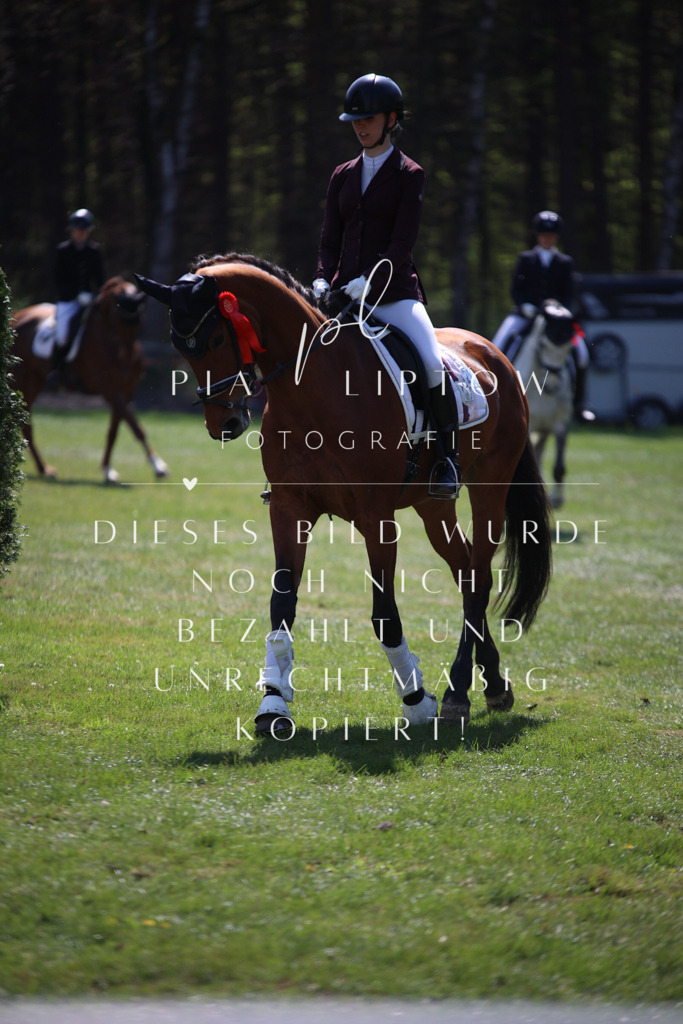 IMGT5575 | pl-fotografie