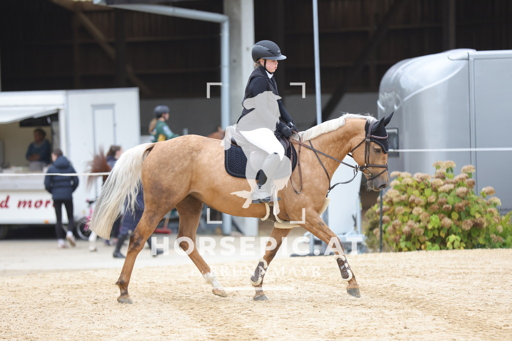 0P6A7573 | Willkommen bei Brunnmayr - Design & Fotografie – Ihrem Spezialisten für Reitturniere und Pferdeveranstaltungen in Oberösterreich, Salzburg und Bayern! Seit über 17 Jahren sind wir leidenschaftlich dabei.