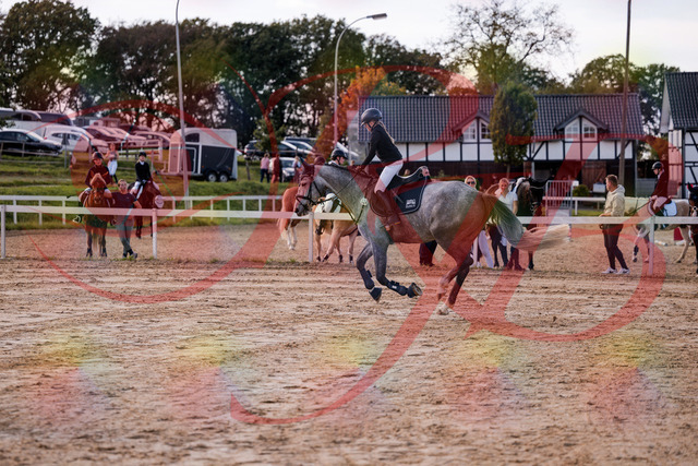 2026_10_03_Siefer-Hof_145131_Z81_30705147 | Professionelle Reitsport-, Turnier- und Eventfotografie von Robert Broda. Galerien mit ausgewählten und bearbeiteten Bildern direkt online ansehen und bestellen.