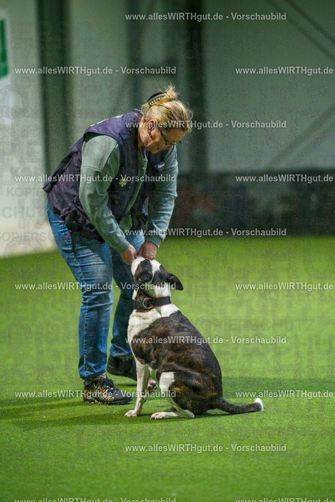 7R509845 | Professionelle Tierfotografie in Mönchengladbach von Daniel Wirth (allesWIRTHgut). Liebevolle & natürliche Bilder von Hunden & Katzen für unvergessliche Erinnerungen.
