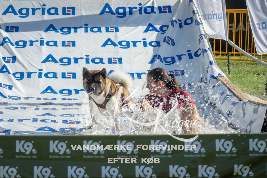 0954_ZZ97380 | kk-dogfotos