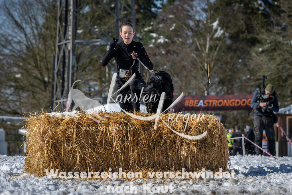 1218_ZZ92309-4 | kk-dogfotos