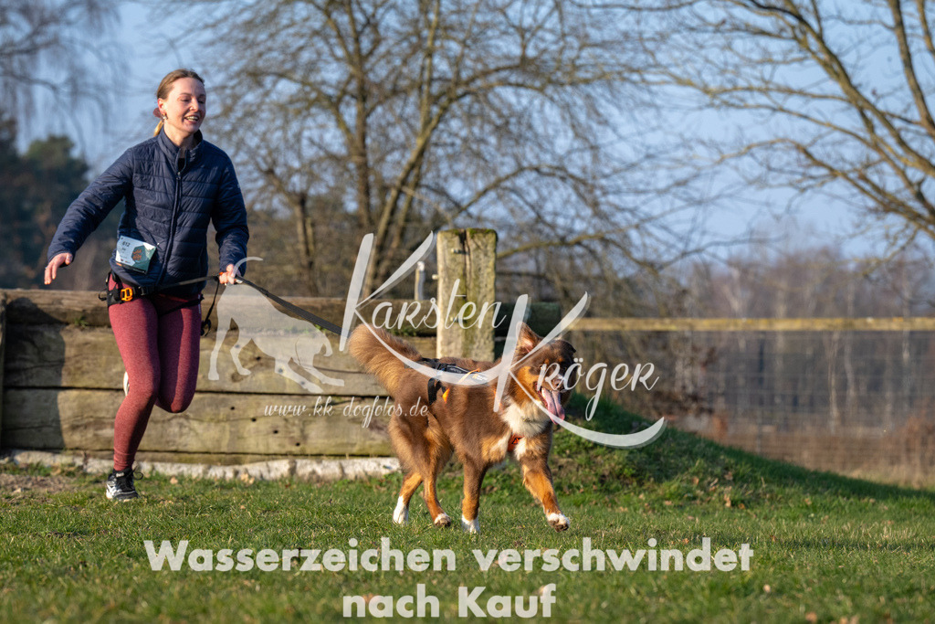 _ZZ90703 | kk-dogfotos