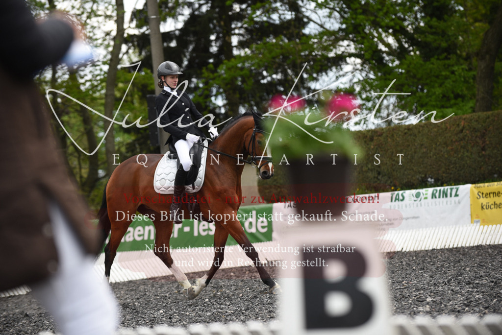 20230513_JK-Röhrsdorf-16-112 | Pferde- und Turnierfotografie in Westsachsen. Pferdeportraits, Auftragszeichnungen und intuitive Kunst.