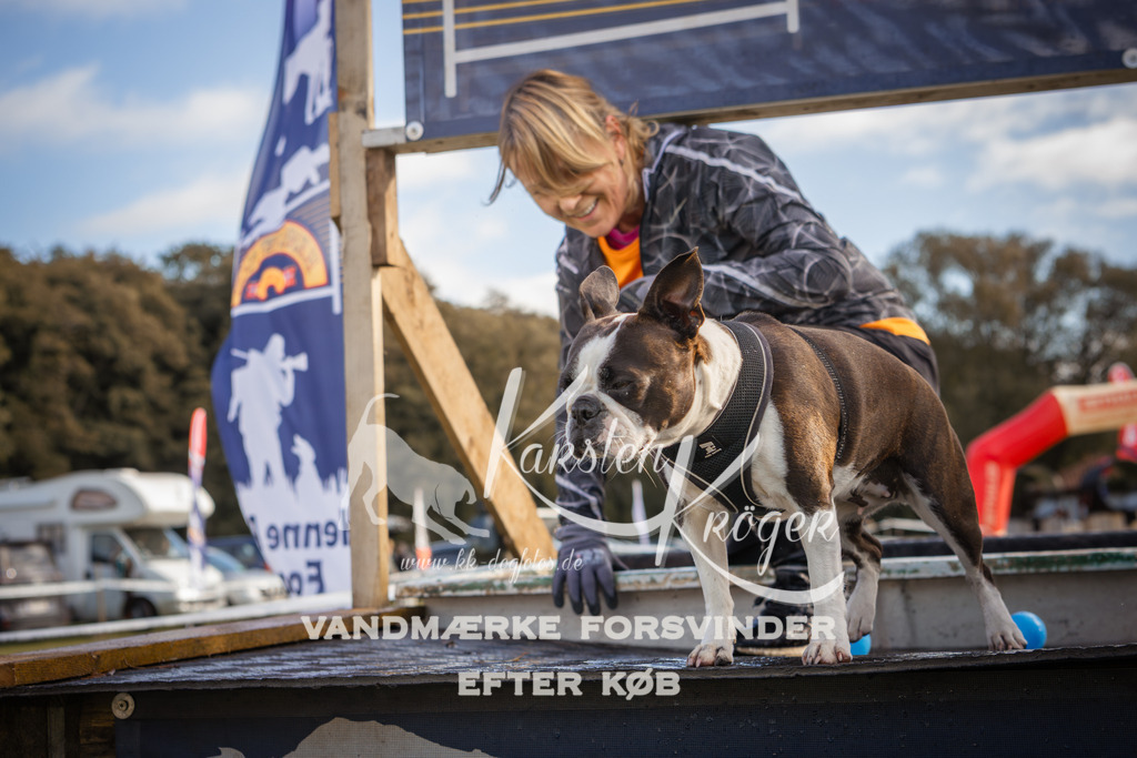 1303_ZZ98884-2 | kk-dogfotos