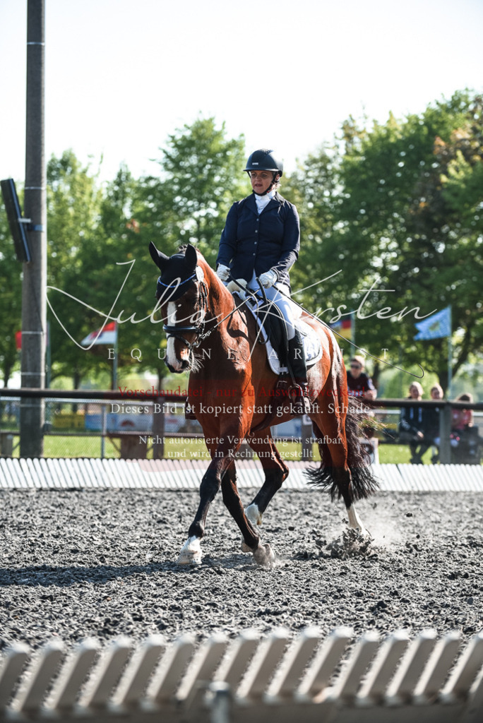 DSC_8527 | Pferde- und Turnierfotografie in Westsachsen. Pferdeportraits, Auftragszeichnungen und intuitive Kunst.