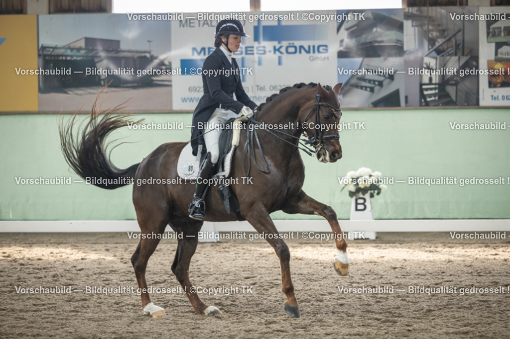 _D5A4936 | Emotionale Pferde- & People-Fotografie rund um Heidelberg, Leimen & Umgebung. Natürliche Fotos von Pferd, Mensch & Familie. Jetzt Termin sichern!