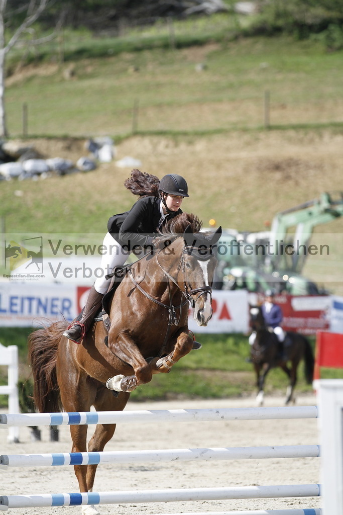 _MG_7982 | equestrian-live-com