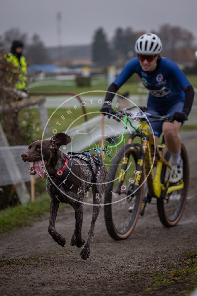 CaniXpix_0L8A1640 | Hundefotografie, Tierfotograf, Pfotenfotografie, Fotoshooting Hund, Hunde Portrait, Hundesport, Hundeportraits, Heideshooting, Hunde, Sportfotograf, Hundefotograf, Turnierhundsport, THS,  - Realisiert mit Pictrs.com