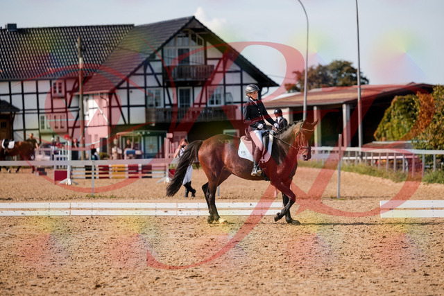 2026_10_03_Siefer-Hof_133526_Z63_95173741 | Professionelle Reitsport-, Turnier- und Eventfotografie von Robert Broda. Galerien mit ausgewählten und bearbeiteten Bildern direkt online ansehen und bestellen.