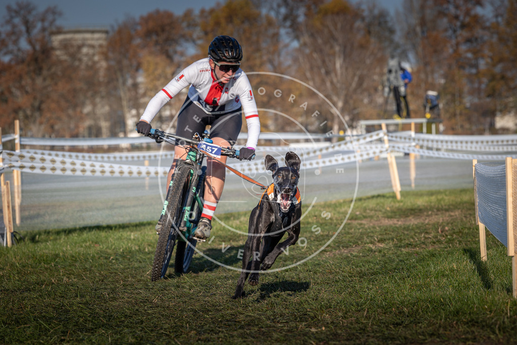 CaniXpix_0L8A4459 | Hundefotografie, Tierfotograf, Pfotenfotografie, Fotoshooting Hund, Hunde Portrait, Hundesport, Hundeportraits, Heideshooting, Hunde, Sportfotograf, Hundefotograf, Turnierhundsport, THS,  - Realisiert mit Pictrs.com
