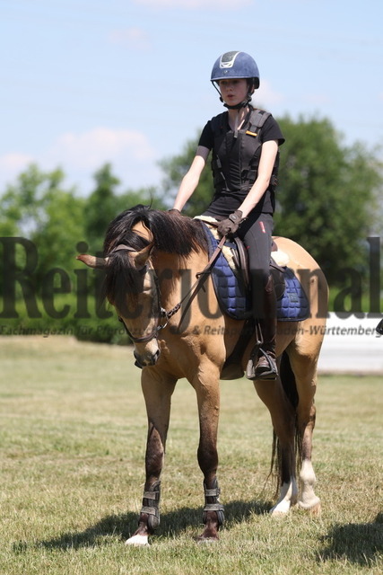 0S4A7945 | Alle Fotos der Reiterjournal Fotografin Doris Matthaes im Reiterjournal Online-Fotoshop. - Realisiert mit Pictrs.com