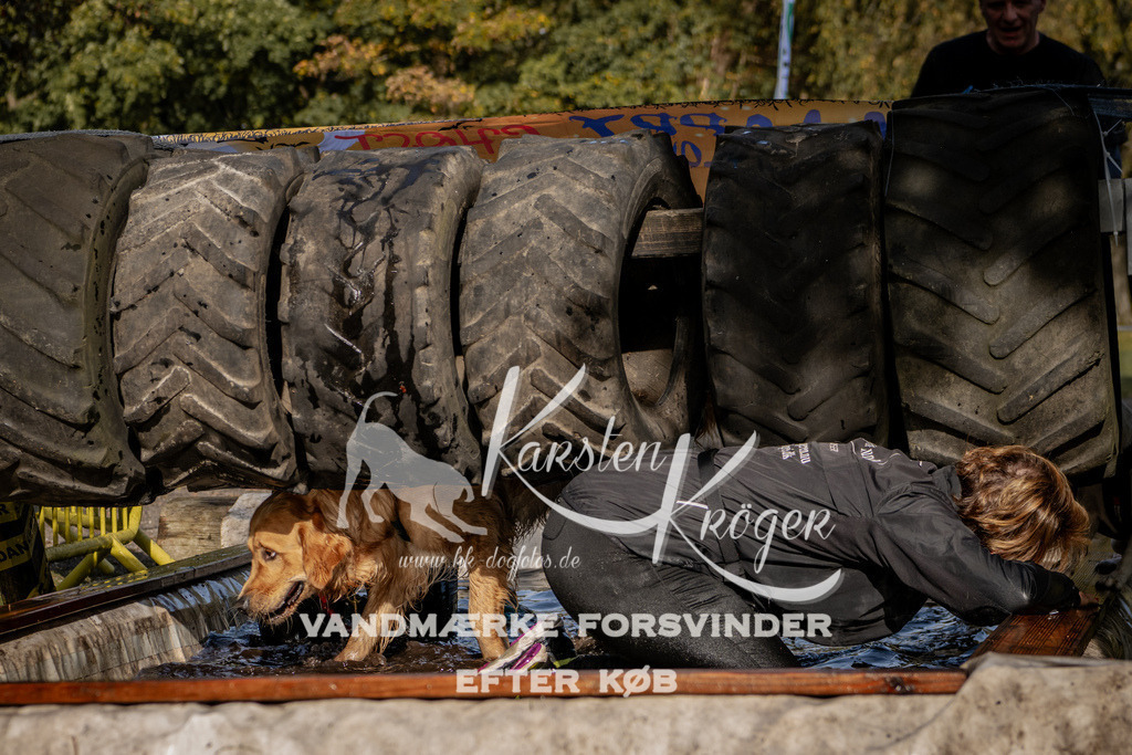 1304_ZZ91847 | kk-dogfotos